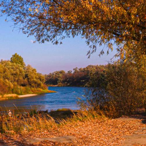Photo #8339359
