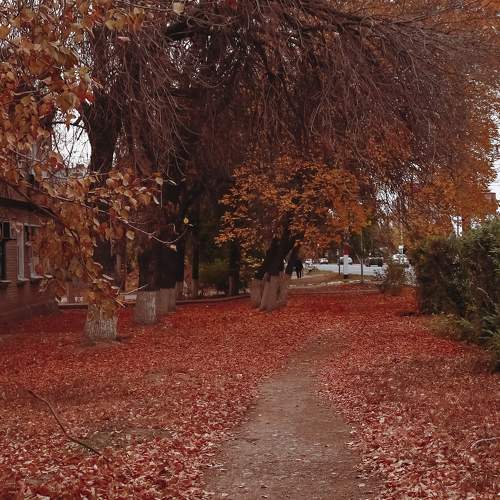Photo #8339883