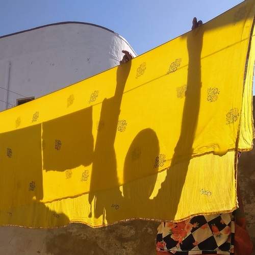 Photo #8340133