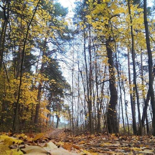 Photo #8340247