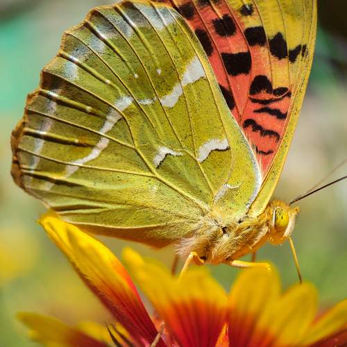 Photo #8340491