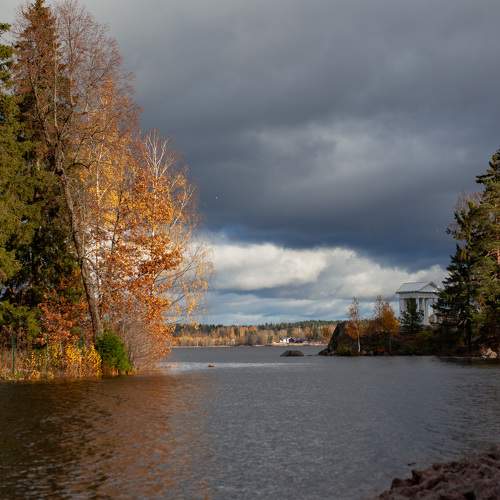Photo #8340993