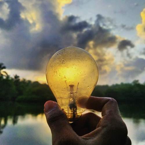 Photo #8341810