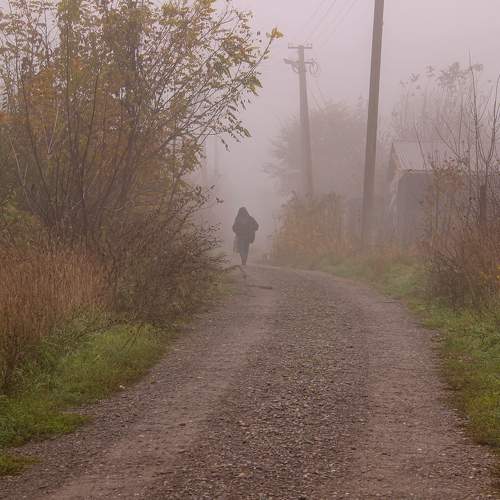 Photo #8341943