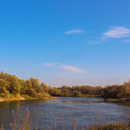 Photo #8342162