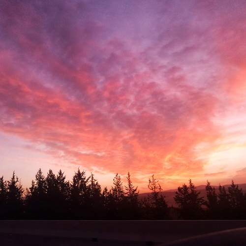 Photo #8342261