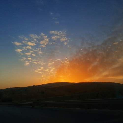 Photo #8342267
