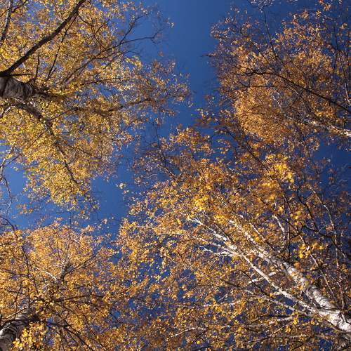 Photo #8342593