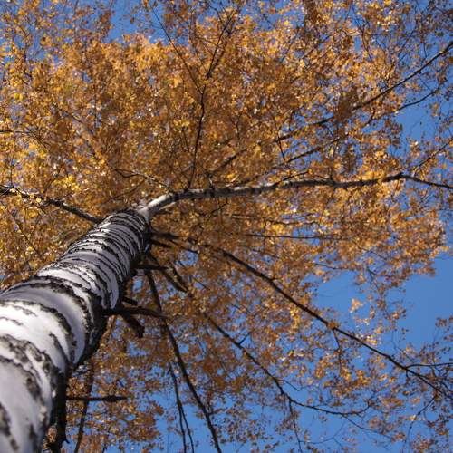 Photo #8342596