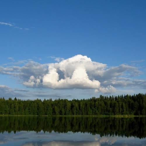 Photo #8343207