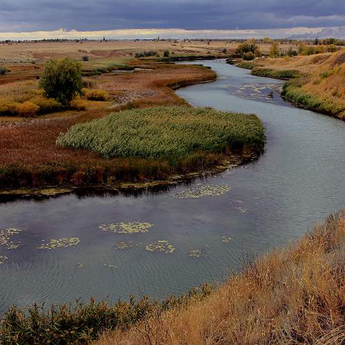 Photo #8343466