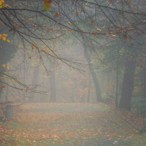 Photo #8343493