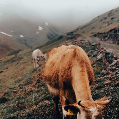 Photo #8343500