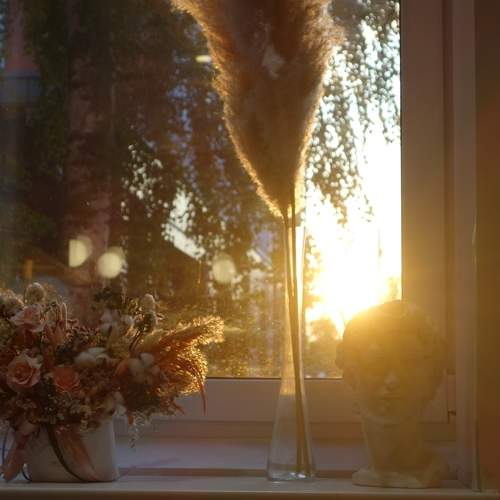 Photo #8343610