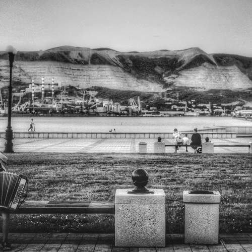 Photo #8343665