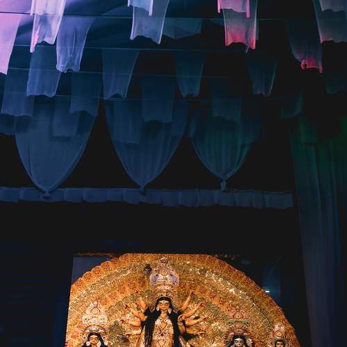 Photo #8344145
