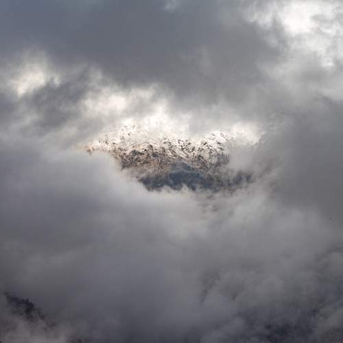 Photo #8344511