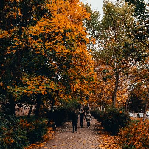 Photo #8344587