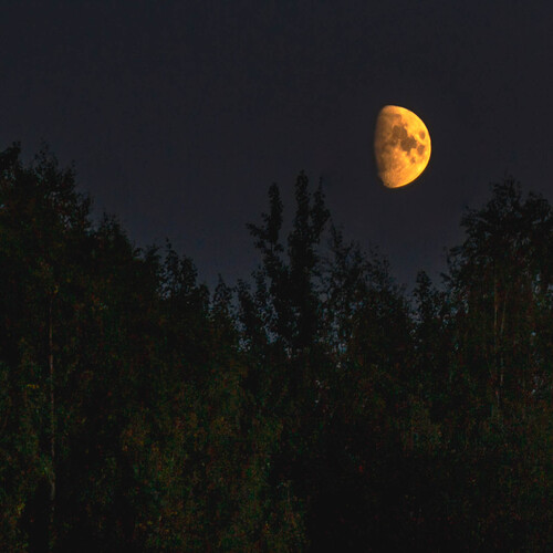 Photo #8344644
