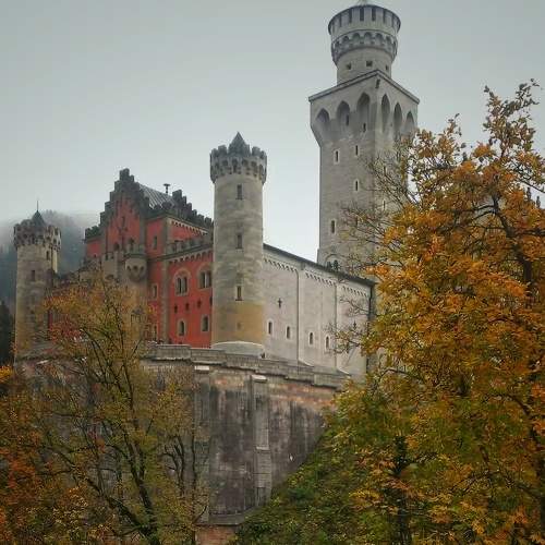 Photo #8344853