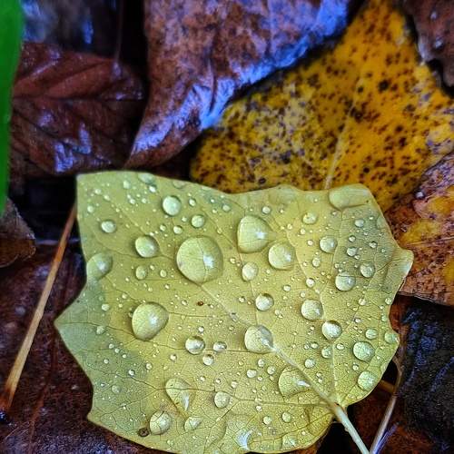 Photo #8344899