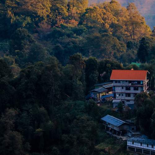 Photo #8344970