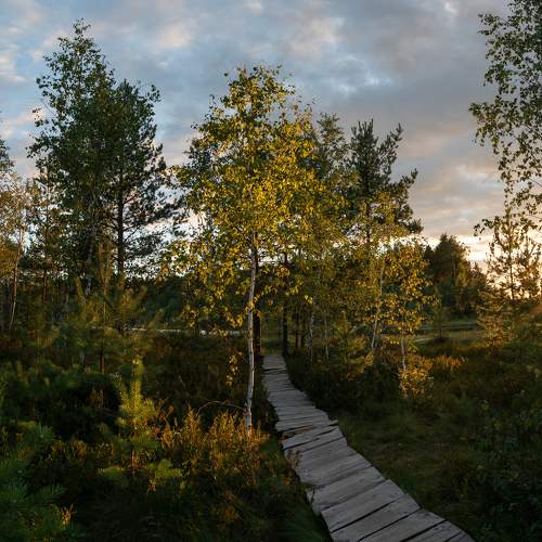 Photo #8345011