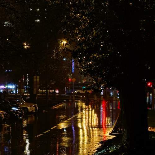 Photo #8345789