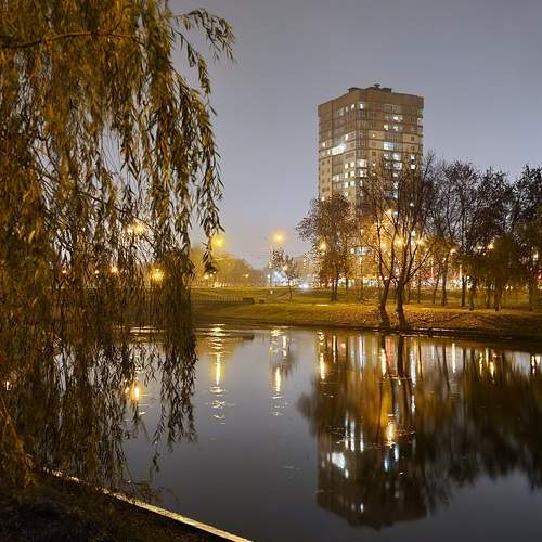 Photo #8345941