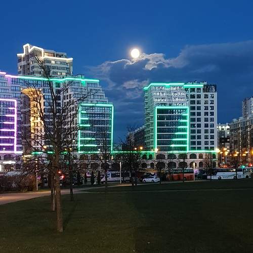 Photo #8345942