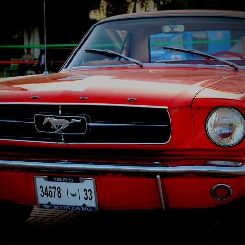 Photo #8346041