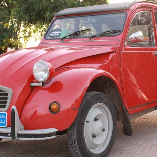 Photo #8346042