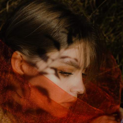 Photo #8346255