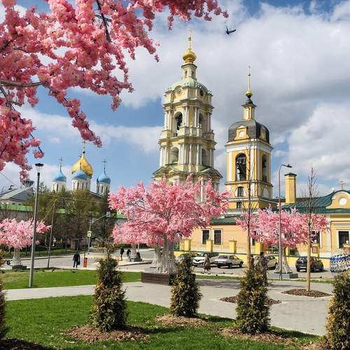 Photo #8346659