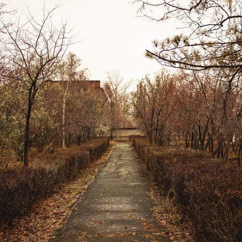 Photo #8347021