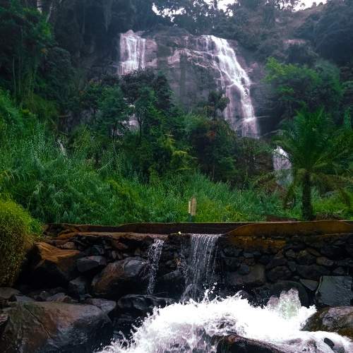 Photo #8347027