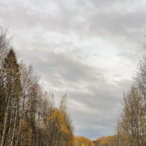 Photo #8347269