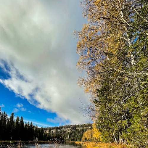 Photo #8347270