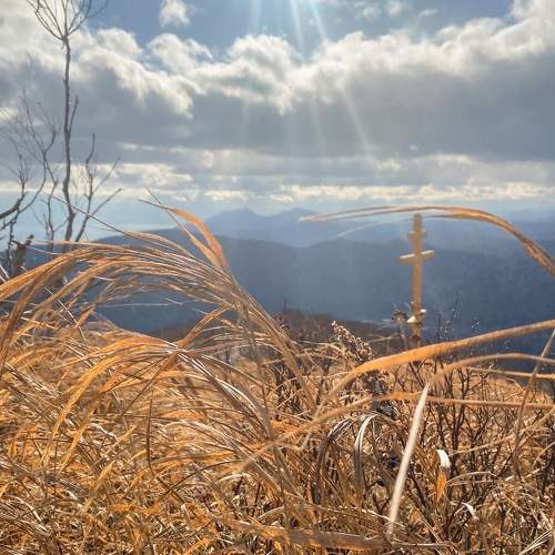 Photo #8347459