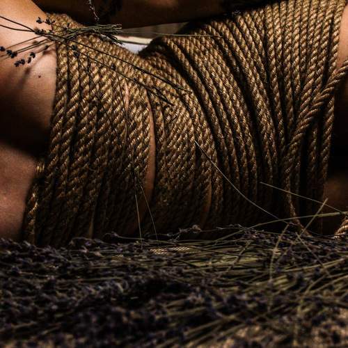 Photo #8347722