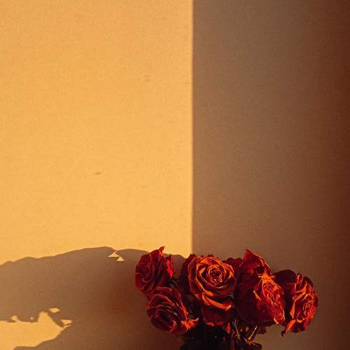 Photo #8347730