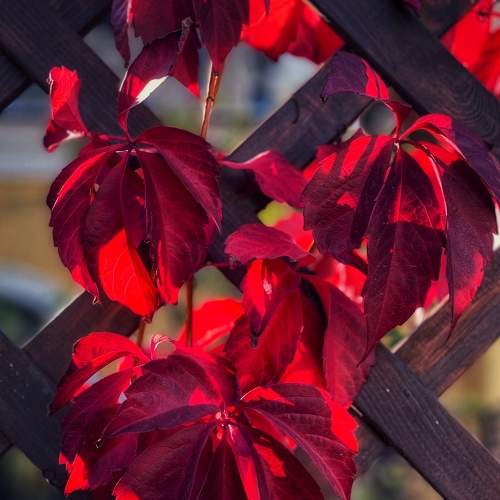 Photo #8347816