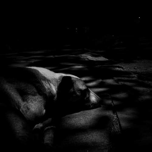 Photo #8347874