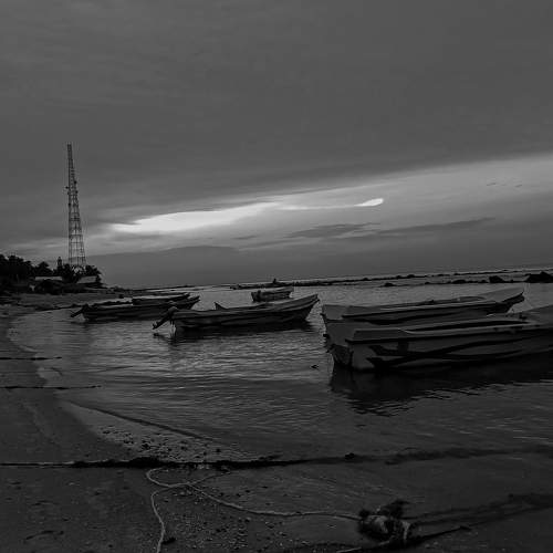 Photo #8348097