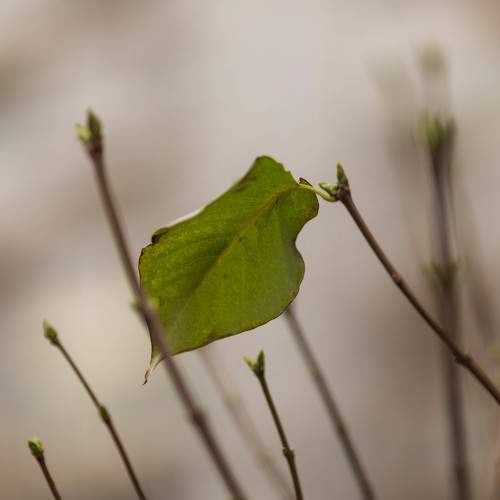 Photo #8348563