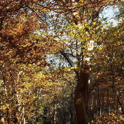 Photo #8348564