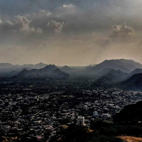 Photo #8348779