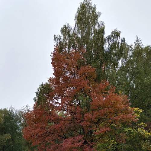Photo #8349003
