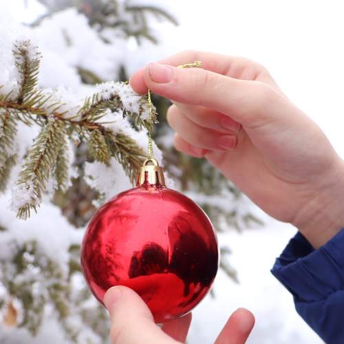 Photo #8349085