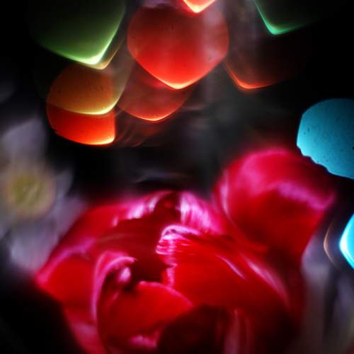 Photo #8349208